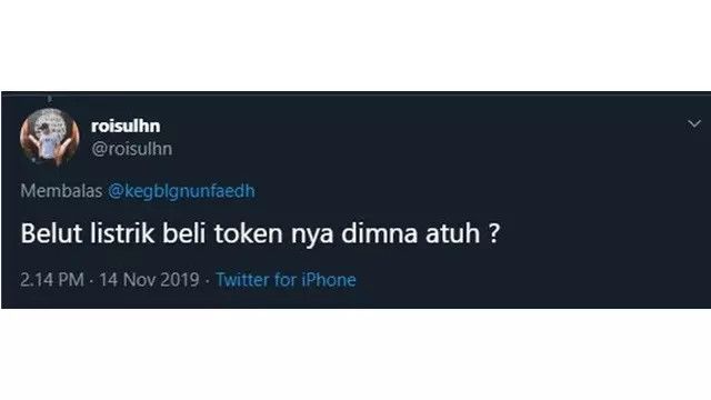 7 Pertanyaan Nyeleneh Tentang Belut Listrik ala Netizen Ini Bikin Mikir