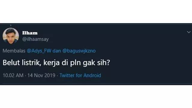 7 Pertanyaan Nyeleneh Tentang Belut Listrik ala Netizen Ini Bikin Mikir