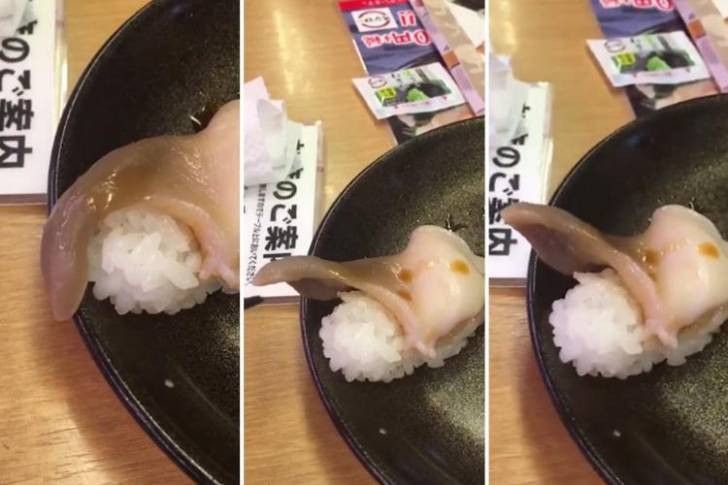 Sushi Viral