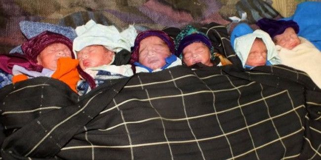 bayi kembar 6 di pakistan