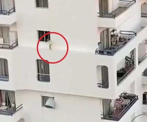 bermain diatas apartemen