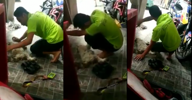 Tangkapan layar video viral pria yang tangisi kucingnya