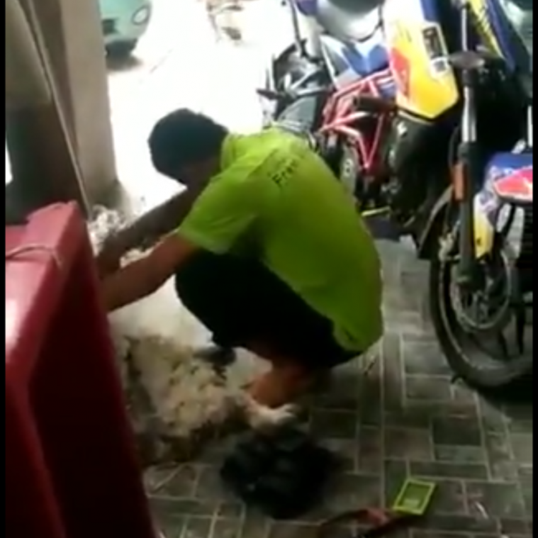 Tangkapan layar video viral pria yang tangisi kucingnya
