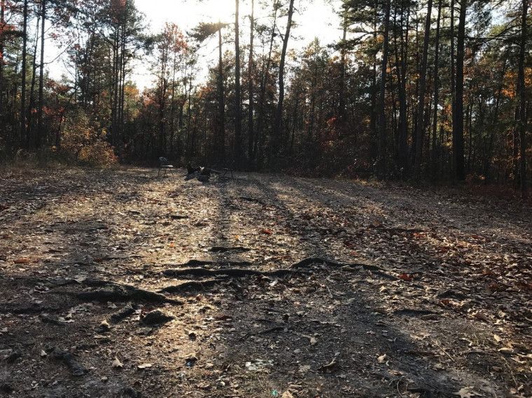 Mitos dan Fakta Bear Creek, Tempat Favorit Iblis untuk Menari