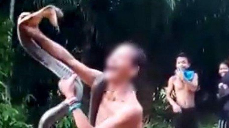 Digigit Kobra, Pria Asal Kalimantan Barat Tewas Mengenaskan
