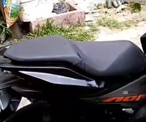 memandikan ular