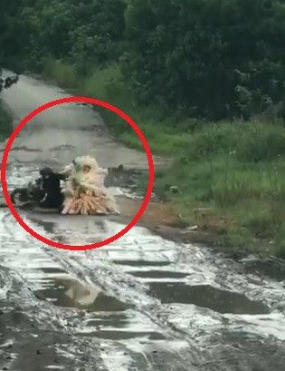 terpeleset akibat jalanan becek