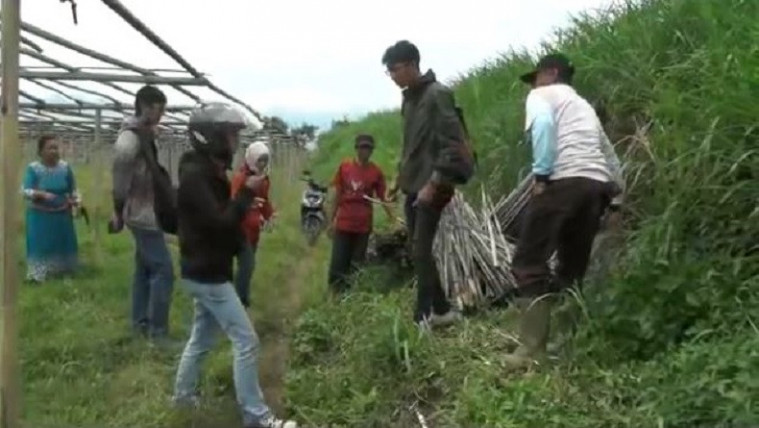 Korban perkosaan meninggal dunia