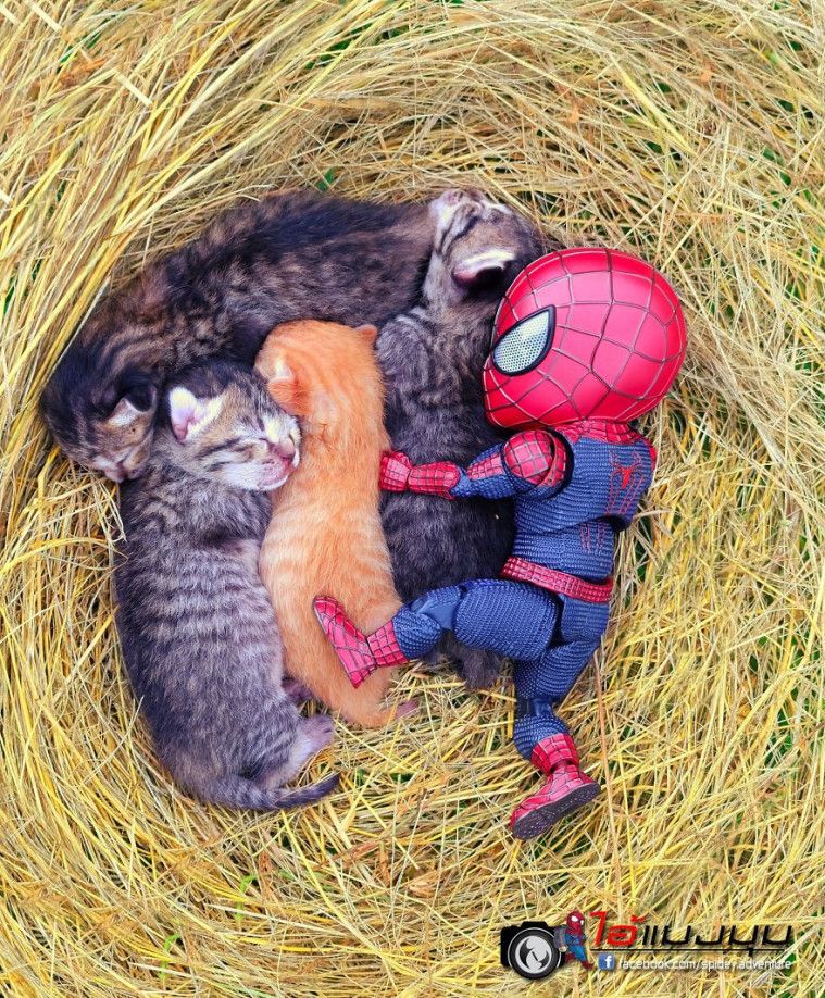 Spidey Adventure