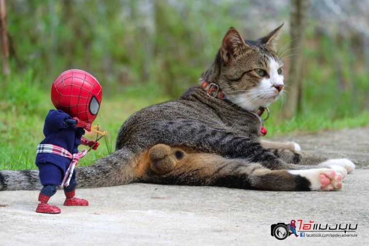 Spidey Adventure