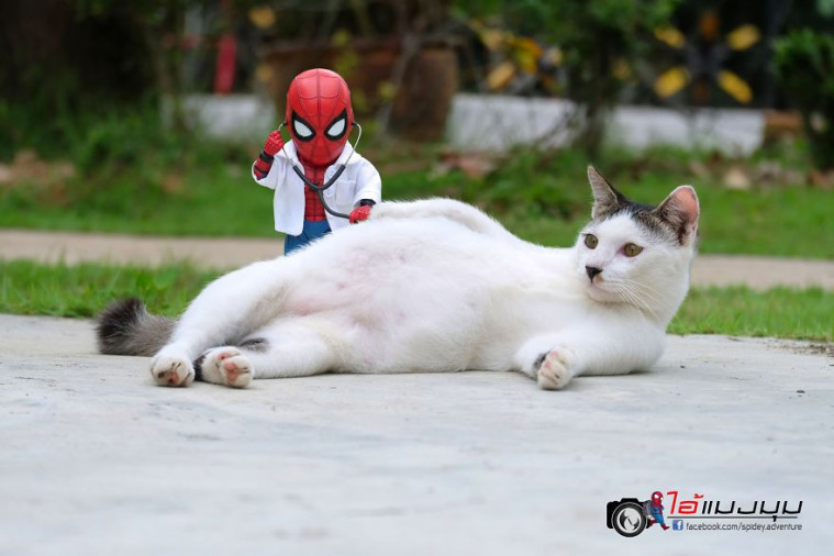 Spidey Adventure