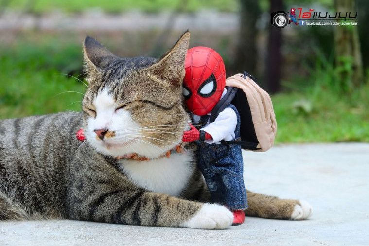 Spidey Adventure