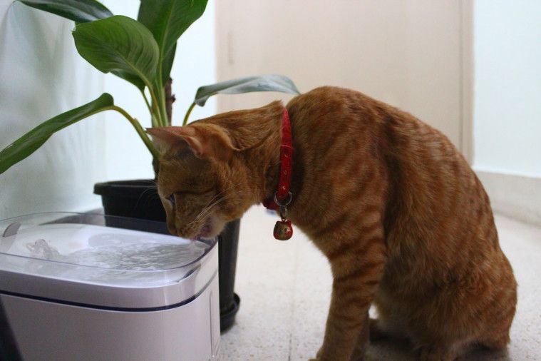 Produk Xiaomi selain smartphone