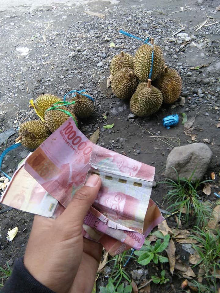 Penjual durian kena tipu