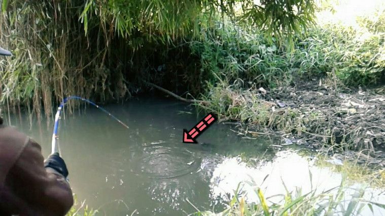 Tidak Dapat Ikan, Pemancing Malah Temukan Mayat Pria Paruh Baya