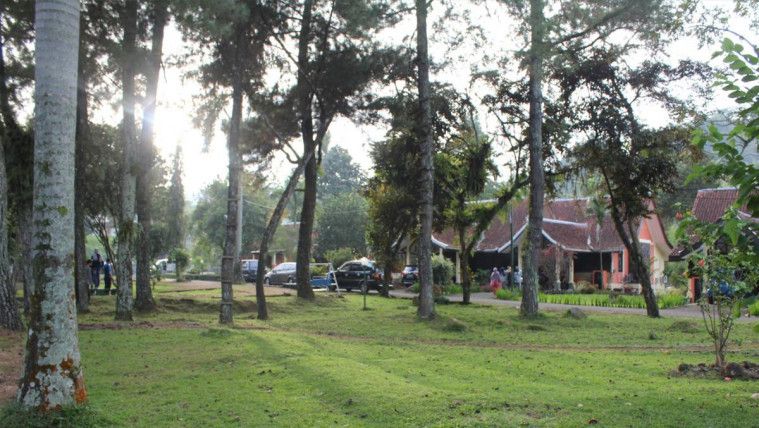 7 Hotel Dekat Taman Safari Terbaik Bikin Irit Biaya