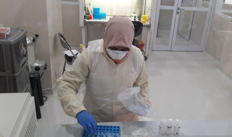 Pengujian lab virus corona