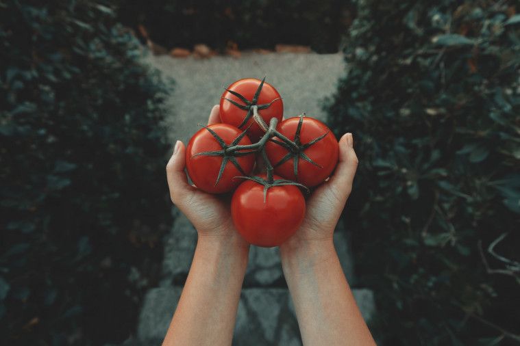 buah yang mengandung vitamin c