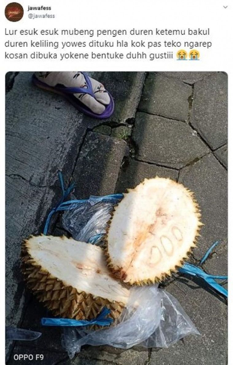 Durian Tapi Nangka, Nangka Tapi Durian