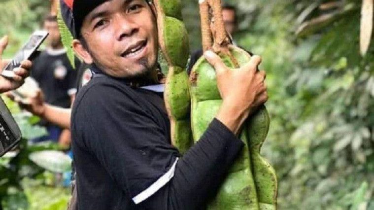 Petai Raksasa