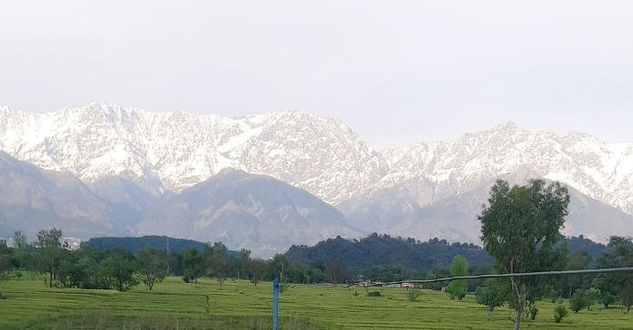 Pengurangan polusi terjadi karena banyak pabrik yang tutup dan kendaraan tidak memenuhi jalanan seperti biasanya.