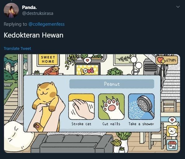 Meme kelas online jurusan kuliah