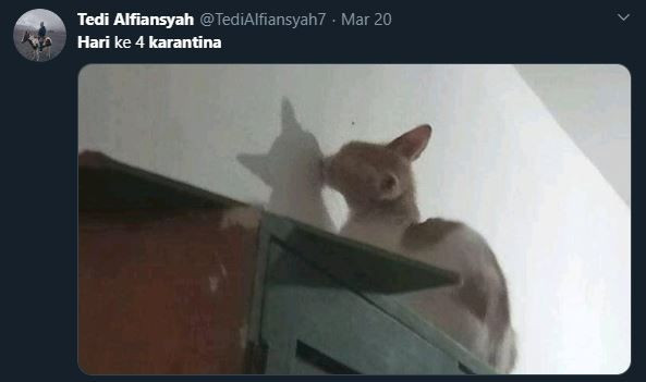 aktivitas netizen untuk menghilangkan bosan selama di rumah