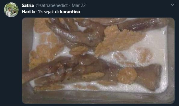 aktivitas netizen untuk menghilangkan bosan selama di rumah