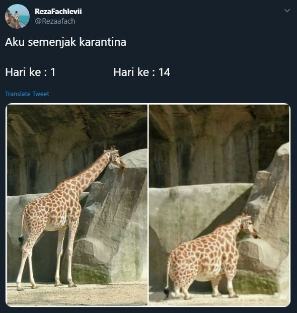 aktivitas netizen untuk menghilangkan bosan selama di rumah