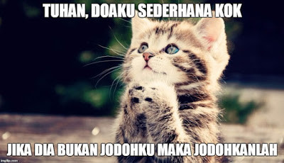 Gemesin, Beginilah Ekspresi Kucing Ketika Tengah Dibuai Asmara!