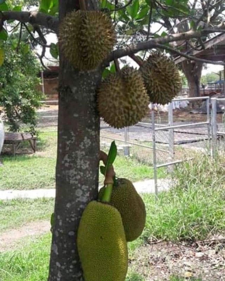 Deretan Momen Lucu Rezeki Gak Ke Mana Ini Bikin Kamu Geleng-Geleng Kepala!