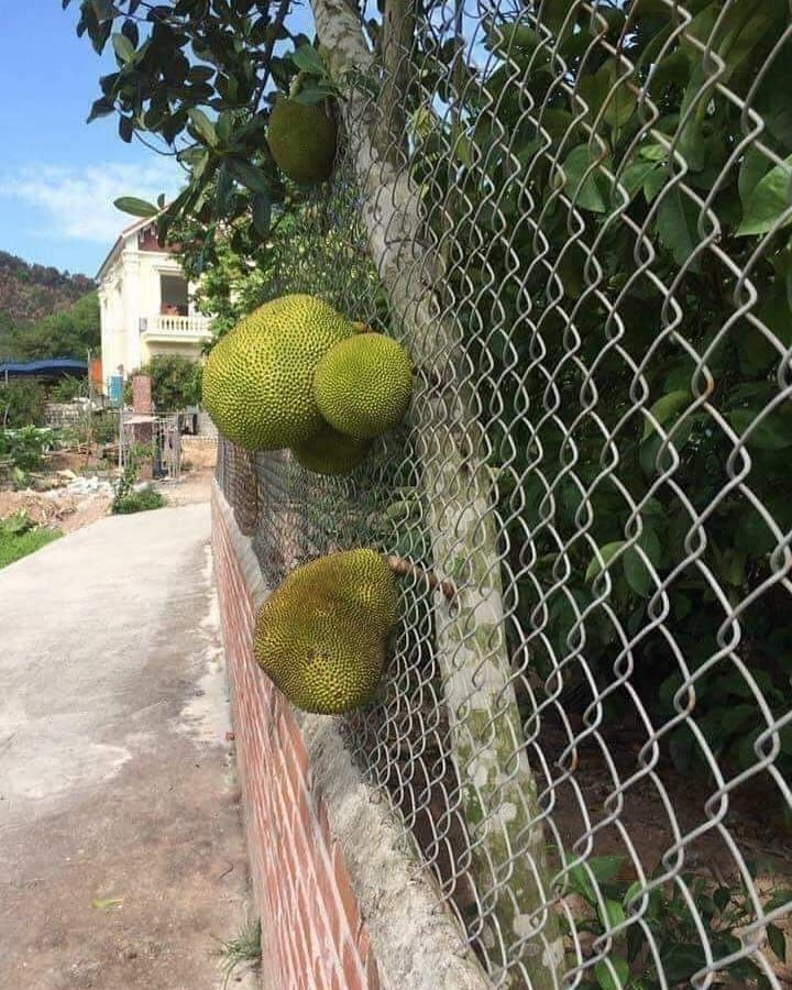 Deretan Momen Lucu Rezeki Gak Ke Mana Ini Bikin Kamu Geleng-Geleng Kepala!
