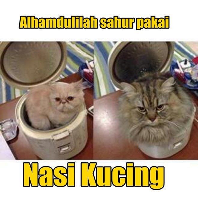 Meme sahur kocak