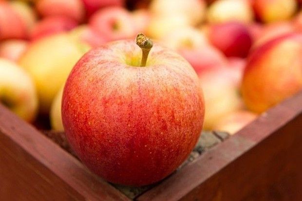 Biar Gak Penasaran, Inilah Makna Makanan dan Minuman yang Dijadikan sebagai Sesajen