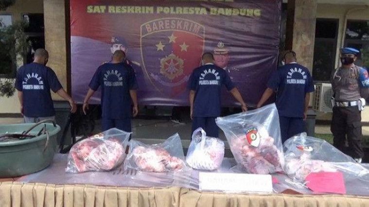 Polisi Bongkar Perdagangan Daging Babi Mirip Sapi di Bandung, 1 Tahun Sudah Beredar!