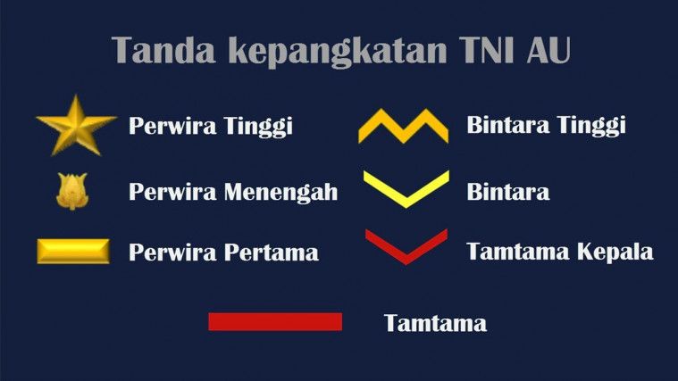 Urutan Pangkat TNI AD, AU, AL Dengan Tingkatan Dan Lambang