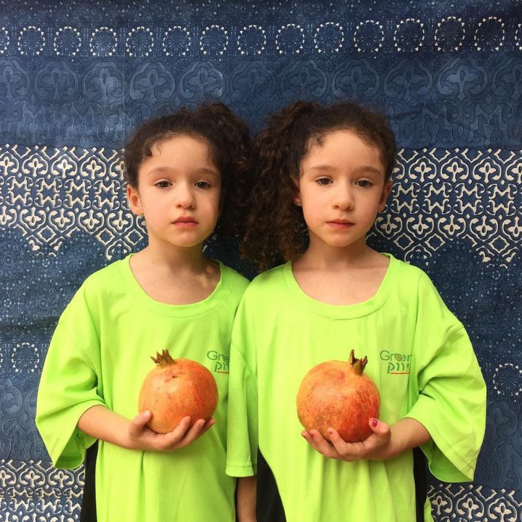 mirror sisters Emma and Sophie Schorr