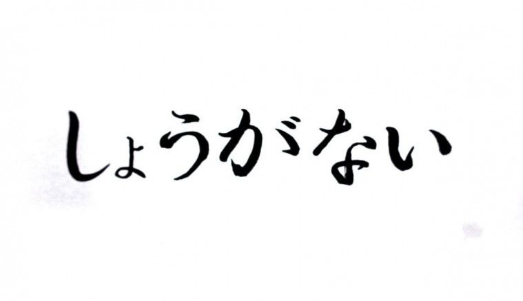 Shouganai
