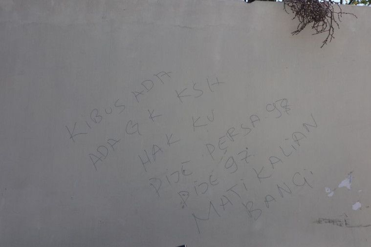 Via Vallen