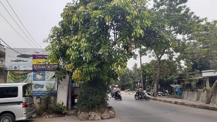 ilustrasi rumah di tengah jalan
