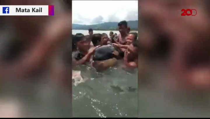 Warga Inobonto elus dan cium paus pembunuh
