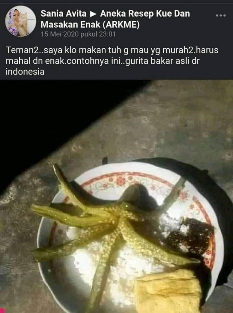 ilustrasi postingan emak-emak
