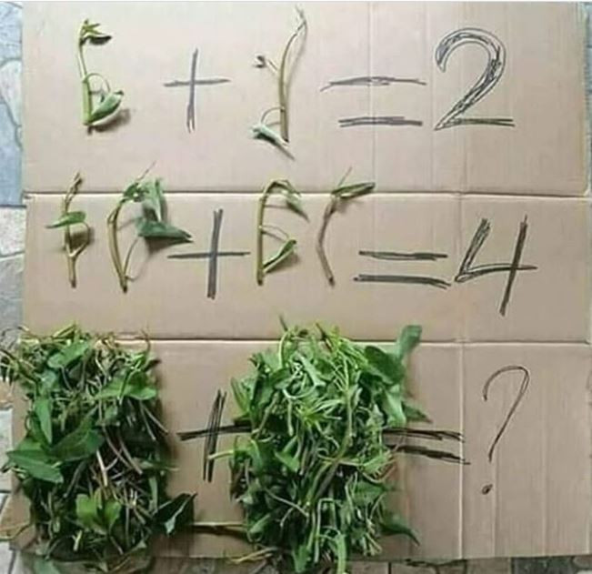 Tebakan matematika