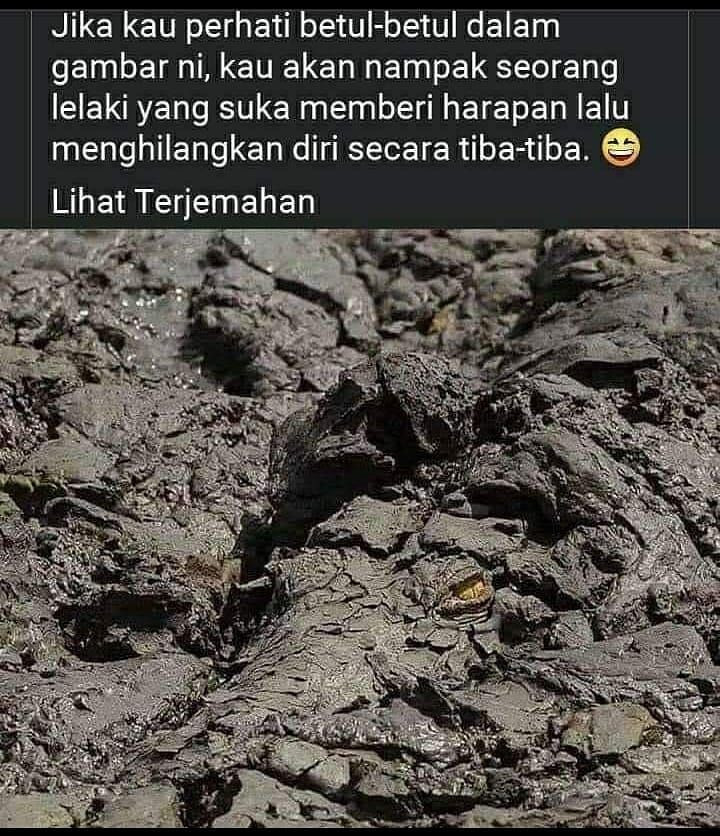 Foto-foto yang bikin terheran-heran