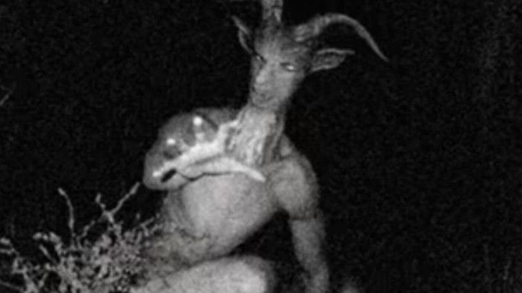 Misteri hewan mitologi yang dianggap ada