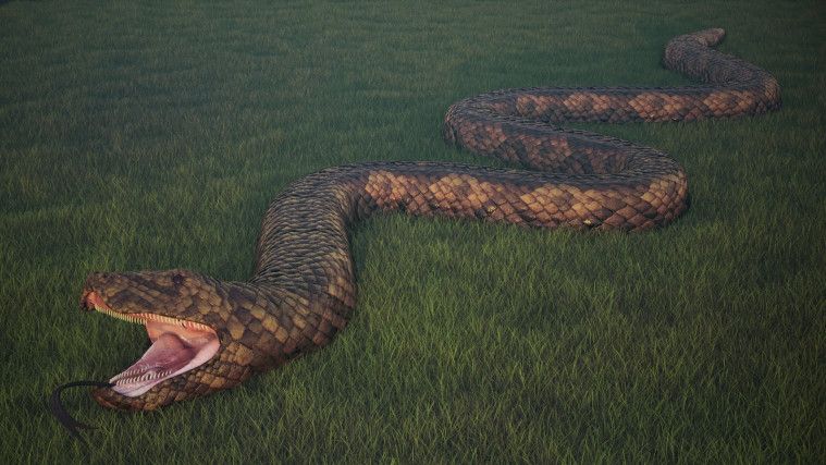 Misteri hewan mitologi yang dianggap ada