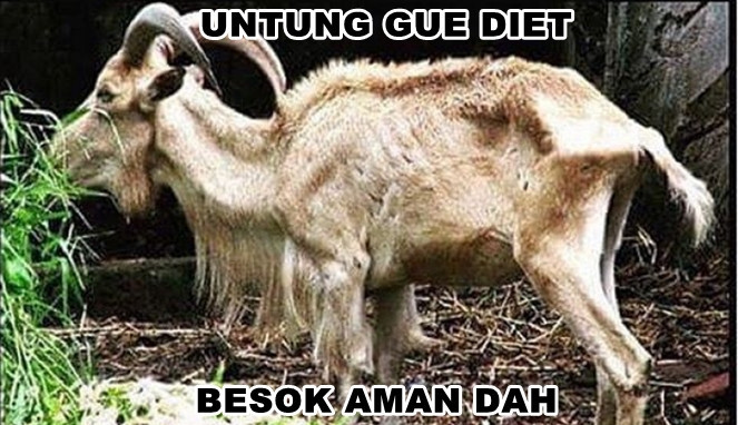 Meme hewan kurban
