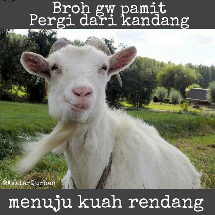 Meme hewan kurban