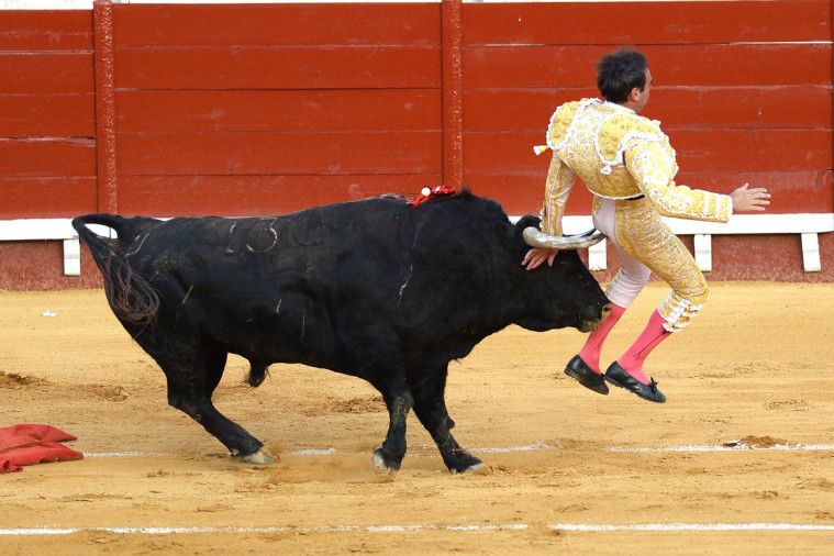 Enrique Ponce