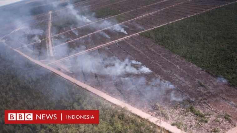 Tagar #SavePapuaForest